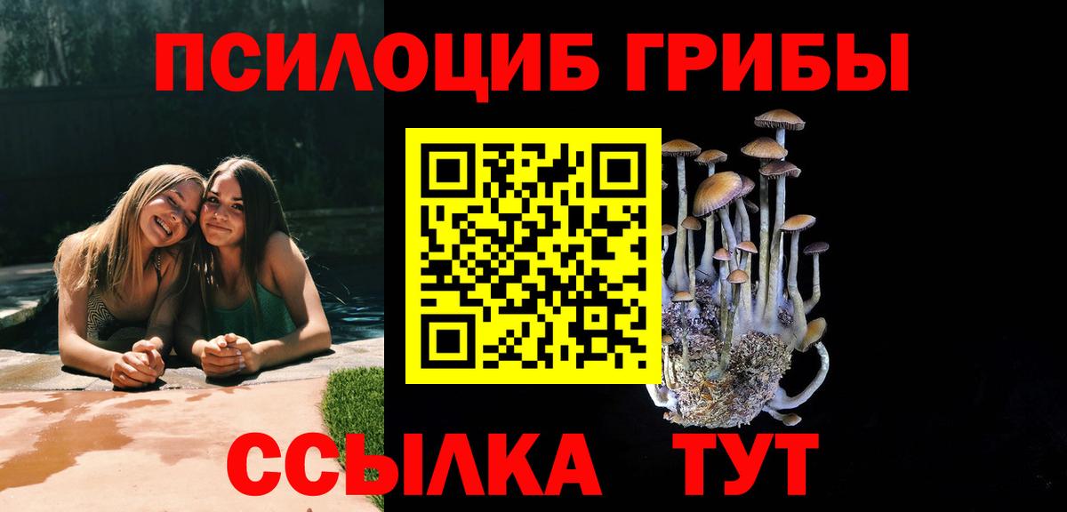 Малоярославец  Галлюциногенные грибы Cubensis  Псилоцибиновые грибы прущие грибы  Вход с VPN 