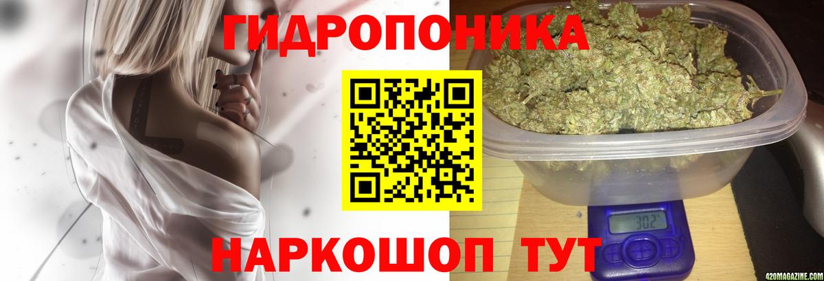 Конопля сатива Малоярославец